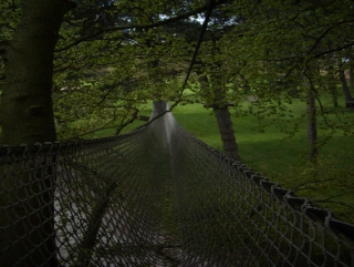  The Net 